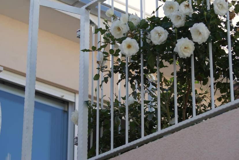 Apartments Nena - Trogir
