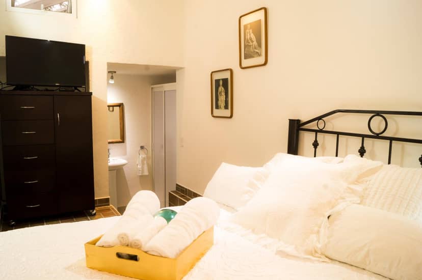 Suite 5B, Cultura, Garden House, Welcome to San Angel — hotel room