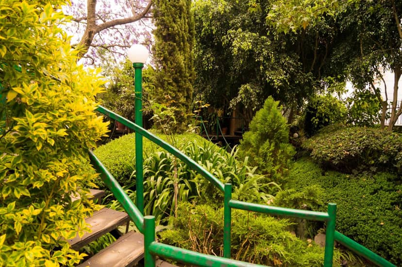 Suite 5B, Cultura, Garden House, Welcome to San Angel