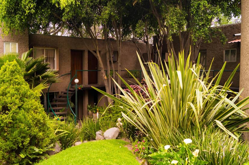 Suite 5B, Cultura, Garden House, Welcome to San Angel — building