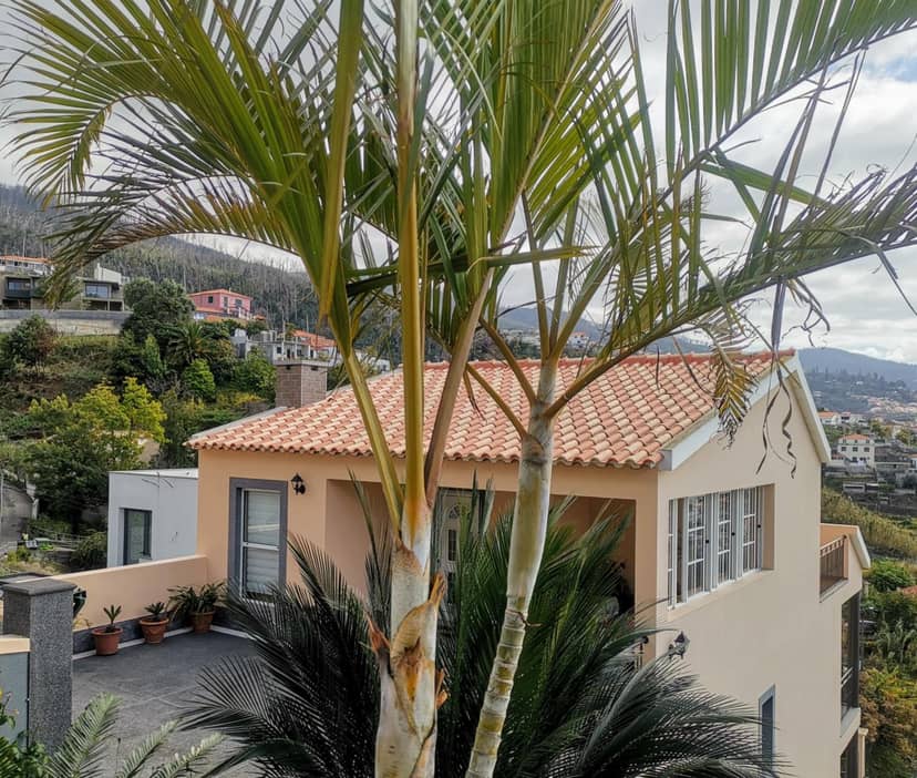 Costa Residence Funchal View — building