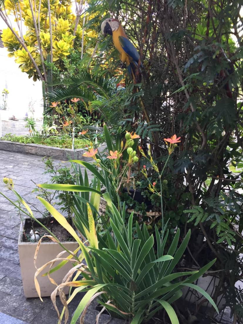 Casa aconchegante em Vila Valqueire — other