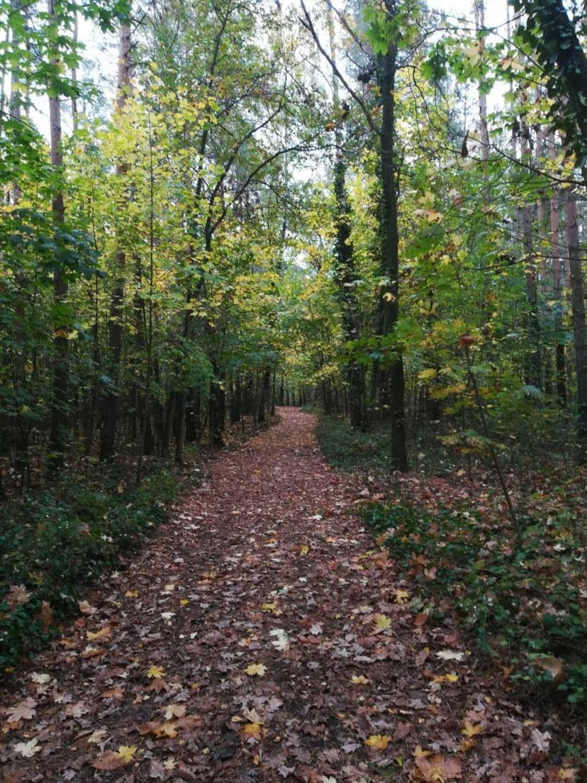 FeWo in Köpenick