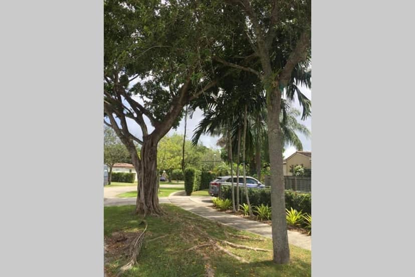 Beautiful Quiet Neighborhood — other