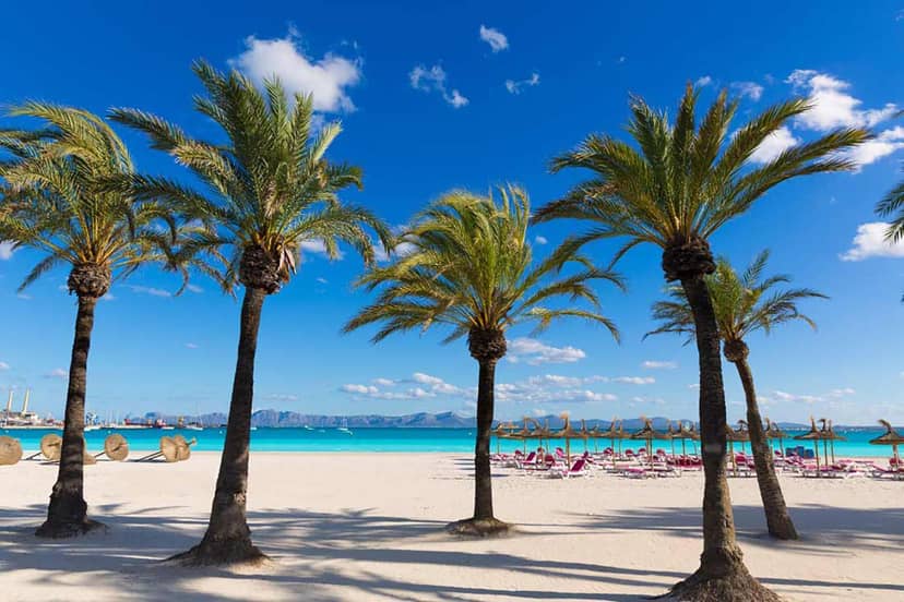 Apartamento Arcoiris, con piscina y junto a playa de Alcudia — other