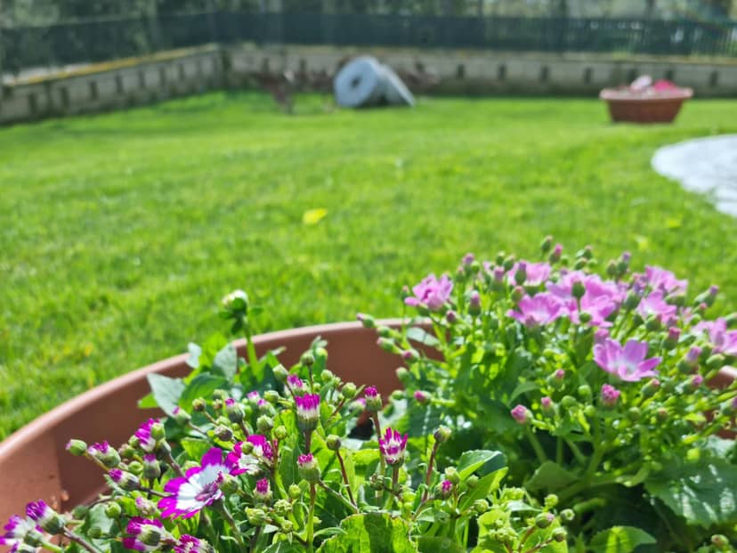 Il Casale nel Parco Guesthouse