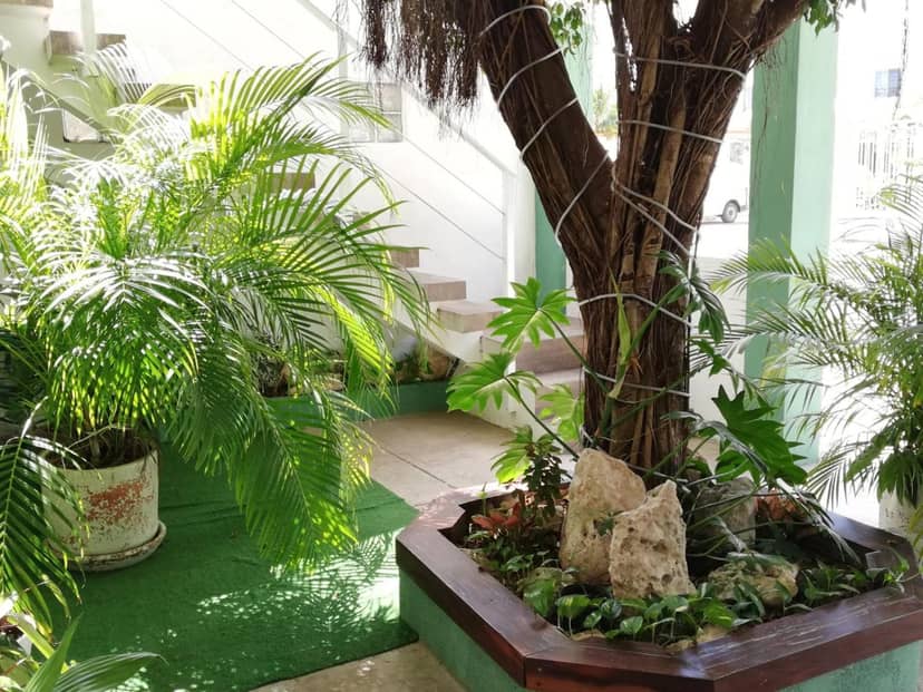 Quetzal Loft — other