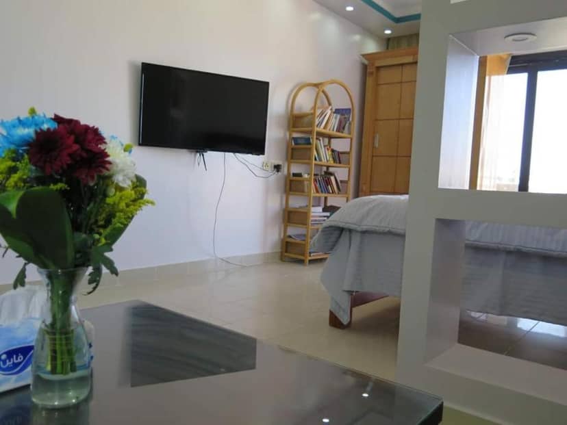 The view studio