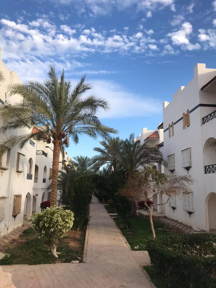 lovely one bedroom apartment within cozy compound including swimming pool, supermarket. perfect location at neama Bay with access to public transportation — building