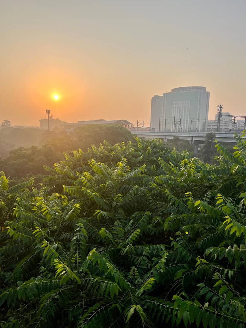 House Of Comfort Delhi — building