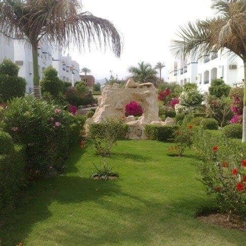 One bedroom apartment in Rivera Sharm — activities & amenities