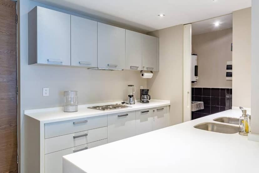 Moderno Departamento en Reforma 284