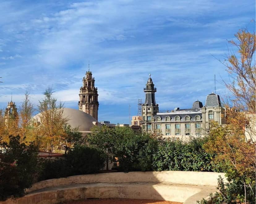 Hostal Porxos Garden — roof