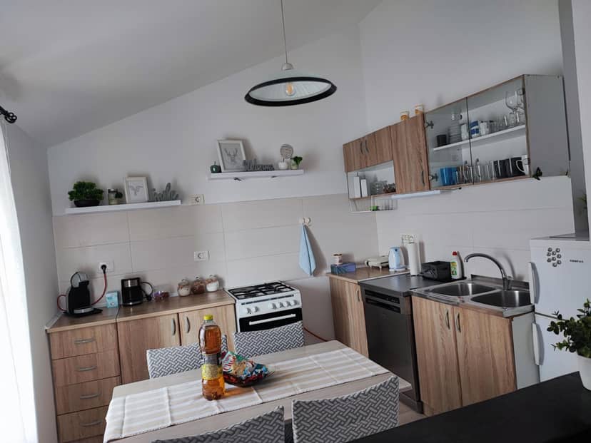 Apartment Nika