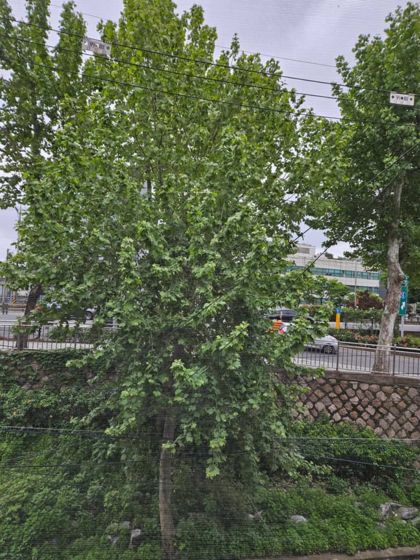 Hongdae ssuny house — other