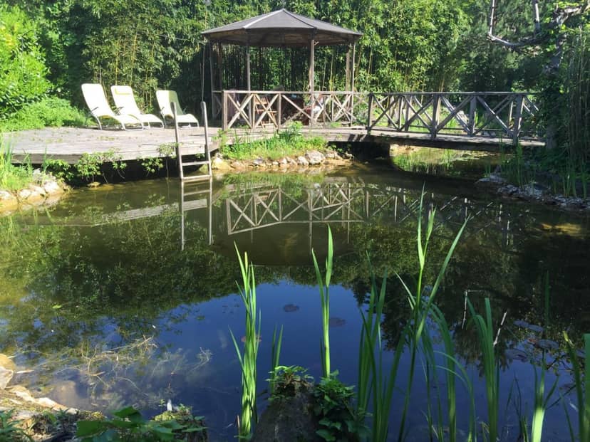Buda Hills villa apartment — activities & amenities