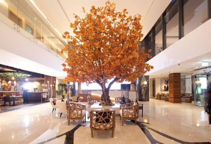 C Central Resort the Palm — recepcion & lobby