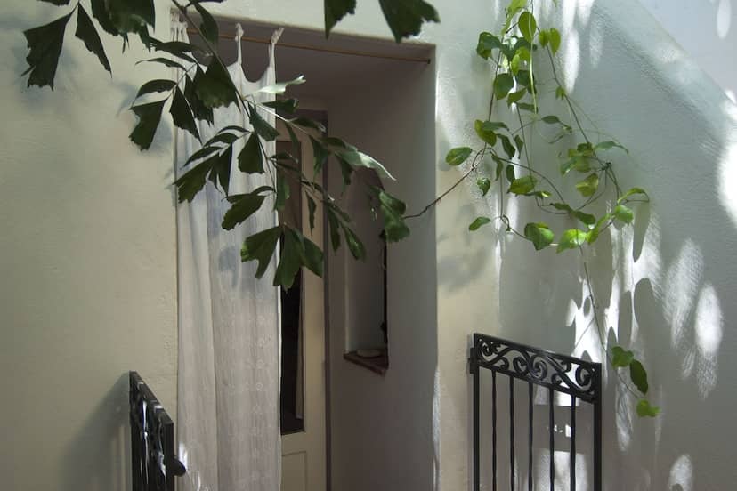 Les Lezards B&B